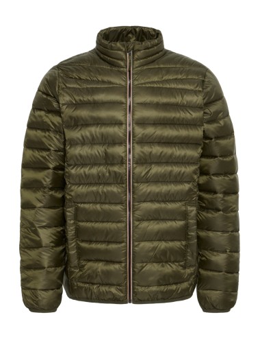 Cazadora ligera BROMSEY verde